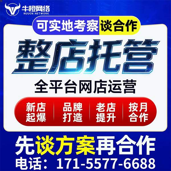 太原电商代运营