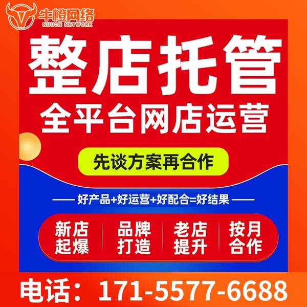 太原电商代运营